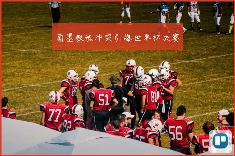葡墨教练冲突引爆世界杯决赛