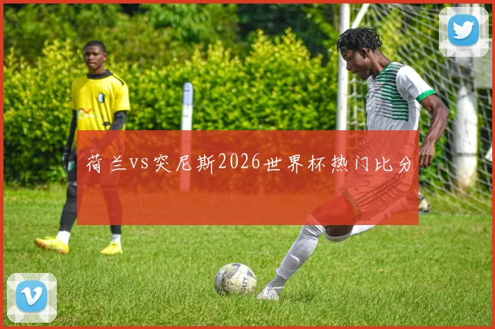 荷兰vs突尼斯2026世界杯热门比分