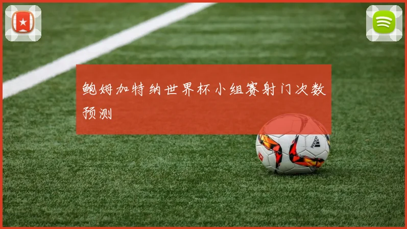 鲍姆加特纳世界杯小组赛射门次数预测