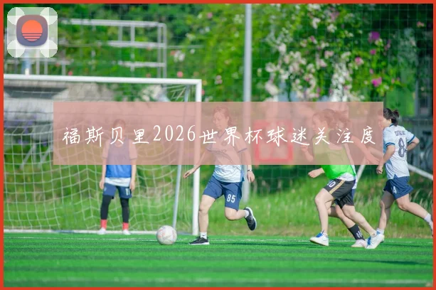 福斯贝里2026世界杯球迷关注度