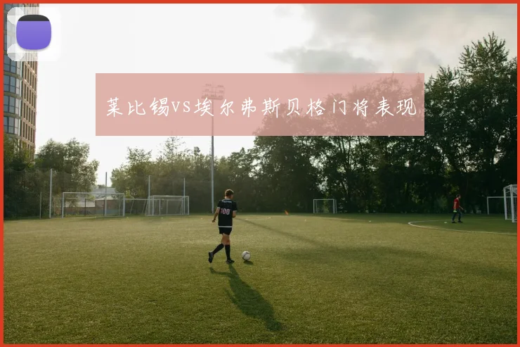 莱比锡vs埃尔弗斯贝格门将表现