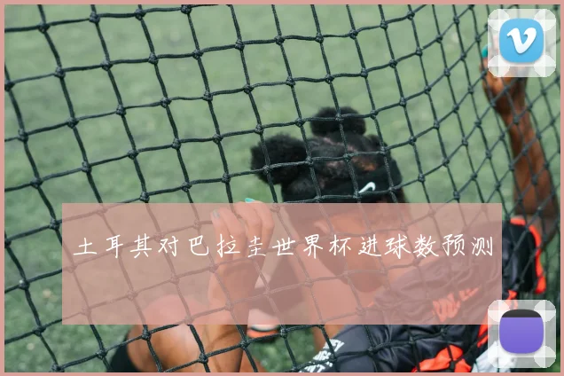 土耳其对巴拉圭世界杯进球数预测